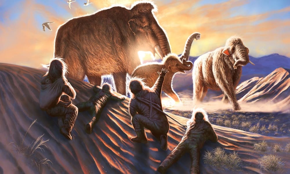 Hewan Mammoth mencakup perkembangan dan punah mamalia besar yang mirip gajah, tetapi lebih berbulu dan hidup di masa Pleistosen, sekitar 2,5 juta hingga 10.000 tahun yang lalu Berikut adalah ringkasan sejarah hewan ini